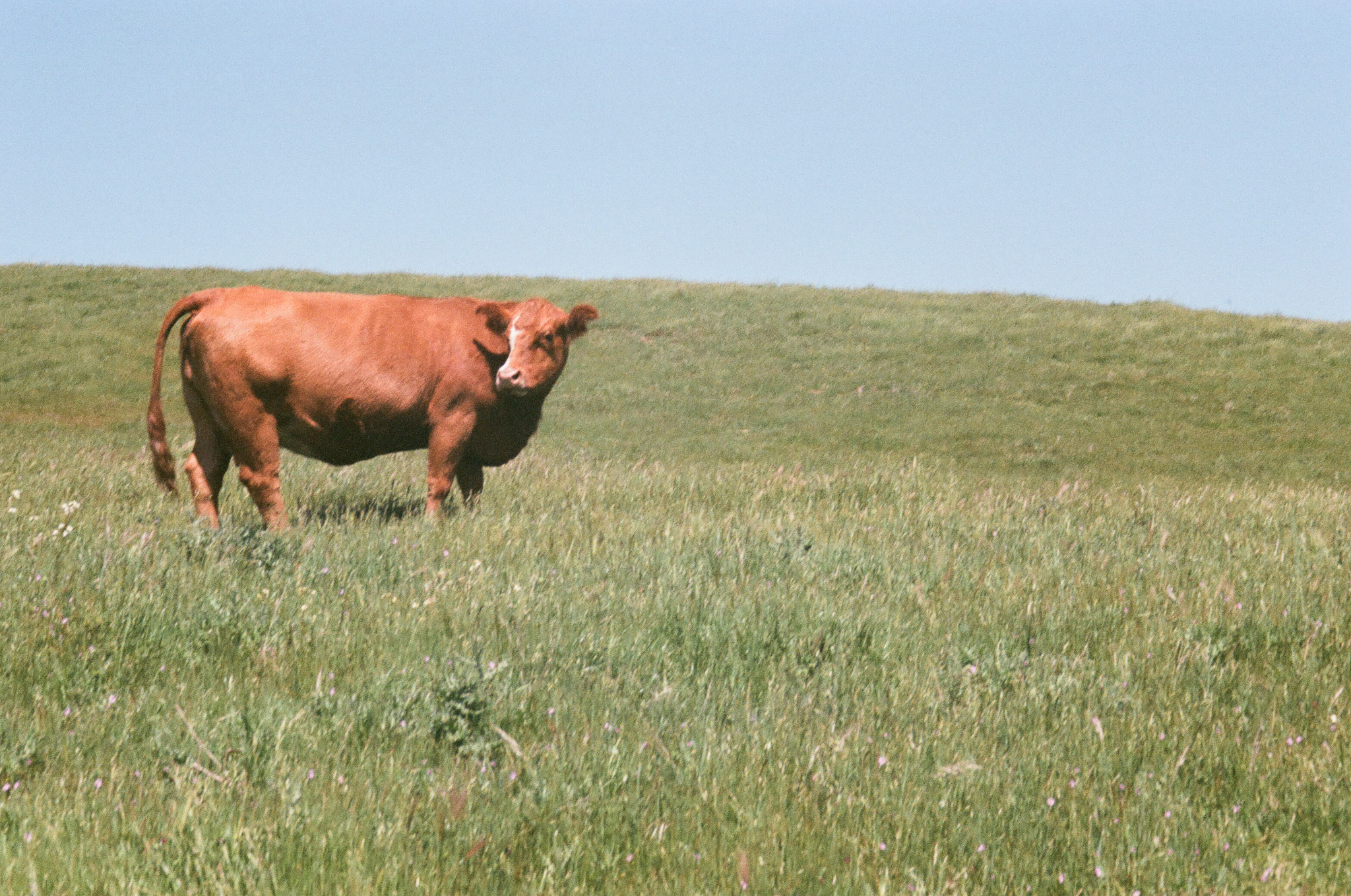 Bikepack the Bay 2025