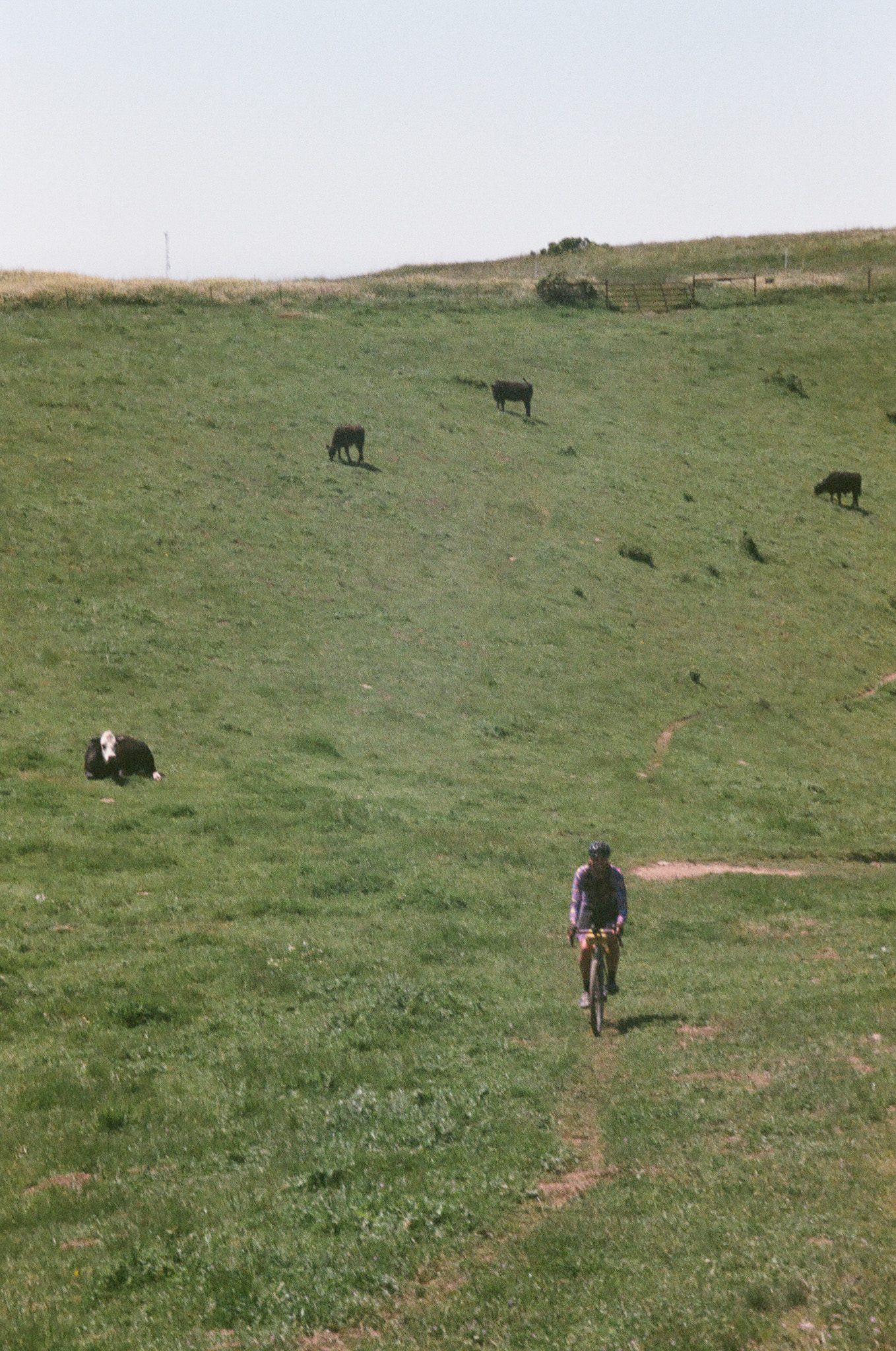 Bikepack the Bay 2025